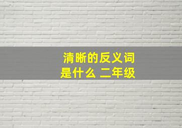 清晰的反义词是什么 二年级